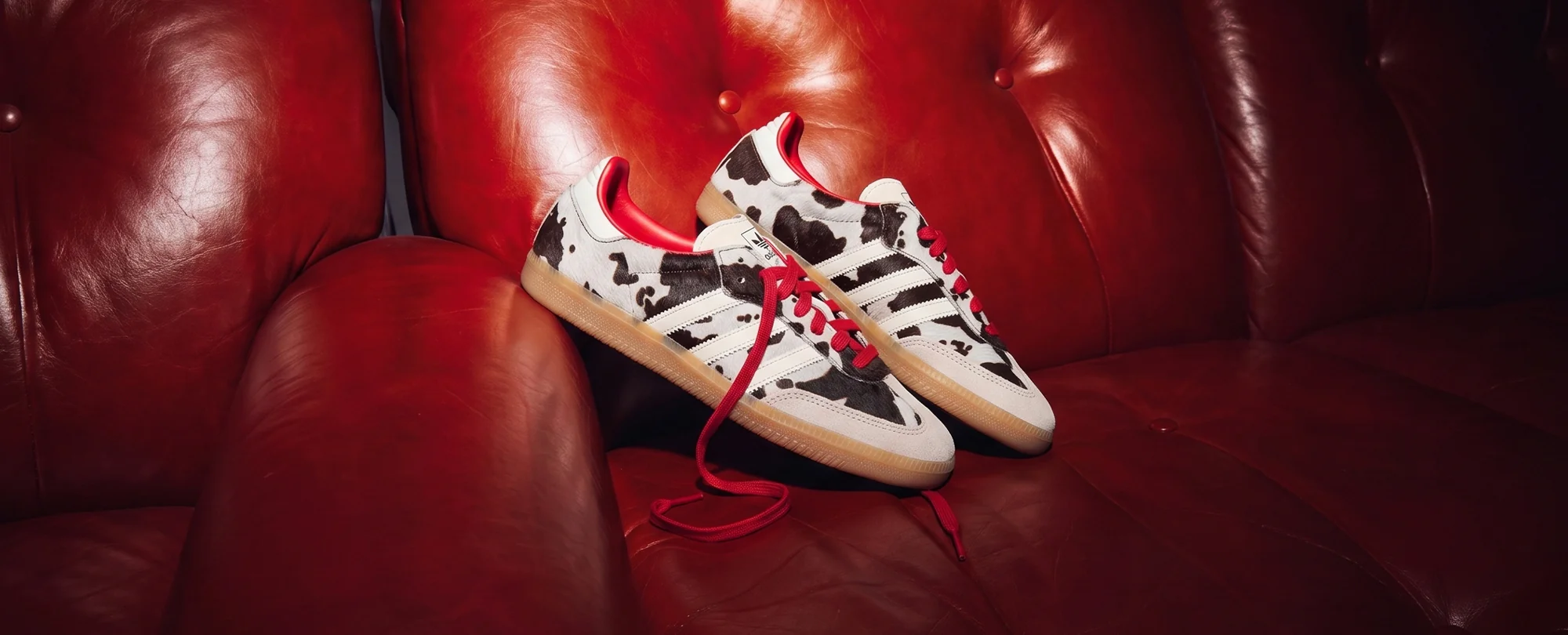 Exclusividad Streetwear al Mejor Nivel